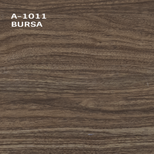 Bursa A-1011