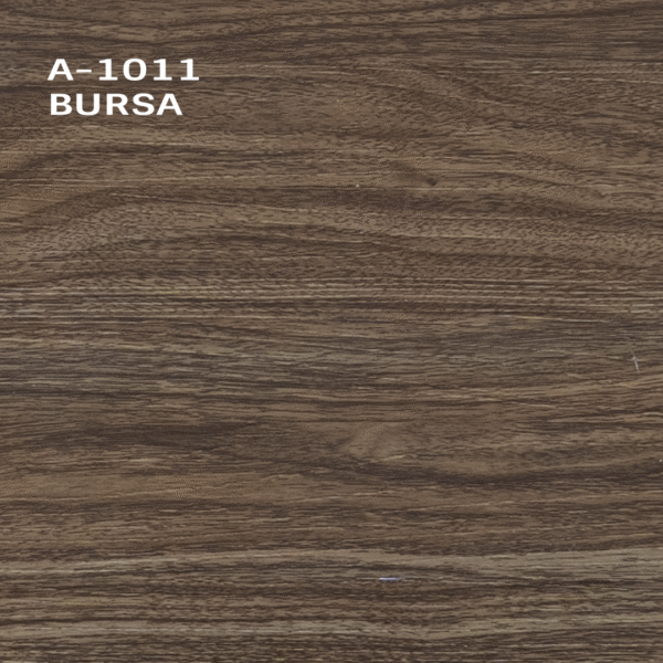 Bursa A-1011
